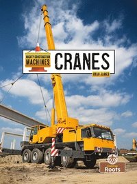 bokomslag Cranes