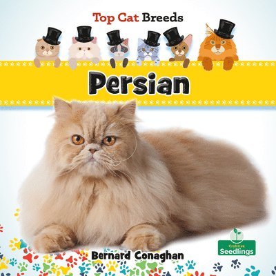Bernard Conaghan - Persian, Häftad
