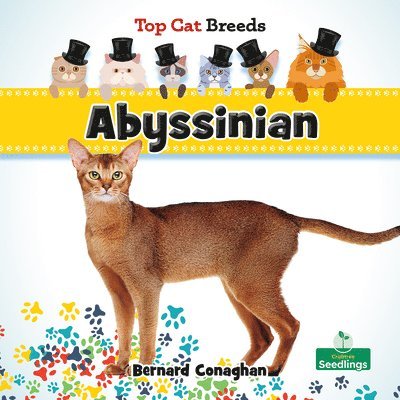 Bernard Conaghan - Abyssinian, Häftad