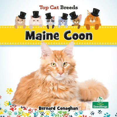 Bernard Conaghan - Maine Coon, Häftad