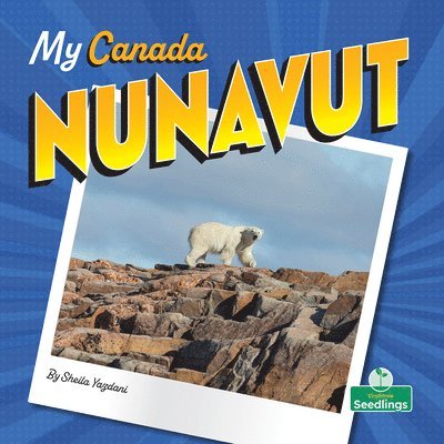 Sheila Yazdani - Nunavut, Häftad