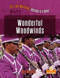 bokomslag Wonderful Woodwinds