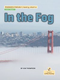 bokomslag In the Fog