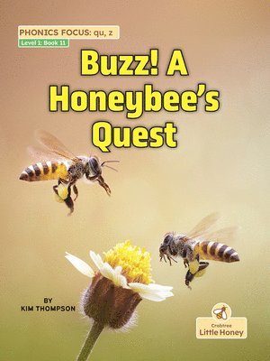 Kim Thompson - Buzz! a Honeybee's Quest, Inbunden