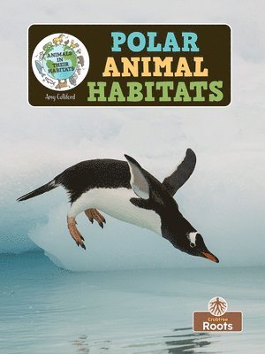 Polar Animal Habitats 1