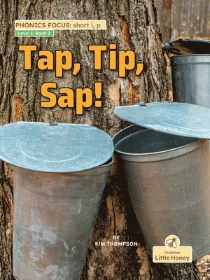 Kim Thompson - Tap, Tip, Sap!, Häftad