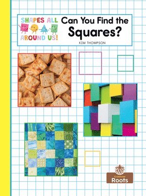 Can You Find the Squares? 1