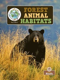bokomslag Forest Animal Habitats