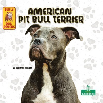 Corinne Fickett - American Pit Bull Terrier, Häftad