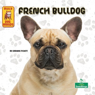 Corinne Fickett - French Bulldog, Häftad