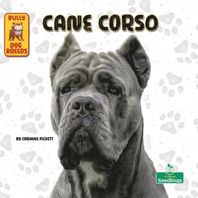 Corinne Fickett - Cane Corso, Häftad