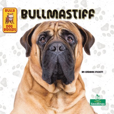 Corinne Fickett - Bullmastiff, Häftad
