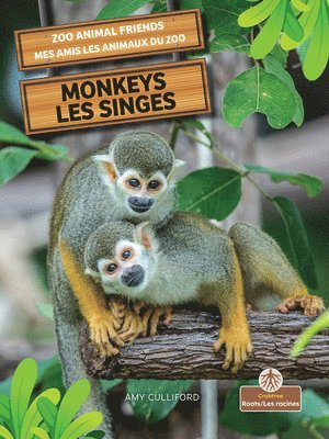 bokomslag Les Singes (Monkeys) Bilingual Eng/Fre