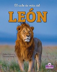 bokomslag El Ciclo de Vida del León - Second Edition (the Life Cycle of a Lion)