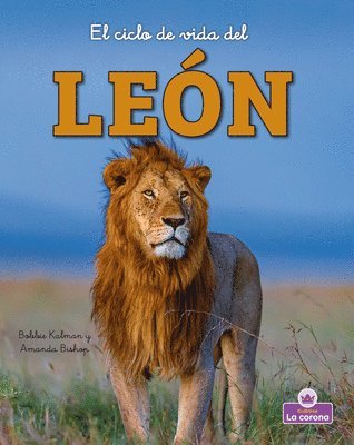 El Ciclo de Vida del León - Second Edition (the Life Cycle of a Lion) 1