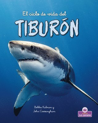 bokomslag El Ciclo de Vida del Tiburón - Second Edition (the Life Cycle of a Shark)