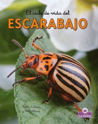 bokomslag El Ciclo de Vida del Escarabajo - Second Edition (the Life Cycle of a Beetle)