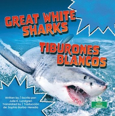 bokomslag Tiburones Blancos (Great White Sharks) Bilingual Eng/Spa