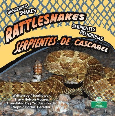 Tracy Nelson Maurer - Serpientes de Cascabel (Rattlesnakes) Bilingual Eng/Spa, Inbunden