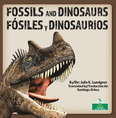 Julie K. Lundgren - Fósiles Y Dinosaurios (Fossils and Dinosaurs) Bilingual Eng/Spa, Inbunden