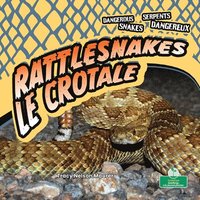 bokomslag Le Crotale (Rattlesnakes) Bilingual Eng/Fre