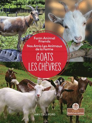 bokomslag Les Chèvres (Goats) Bilingual Eng/Fre