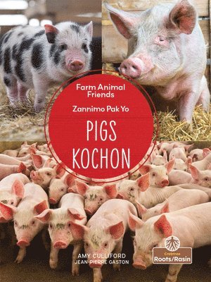 bokomslag Kochon (Pigs) Bilingual Eng/Cre