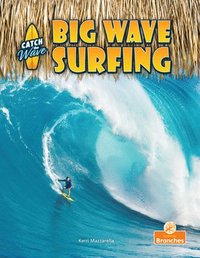 bokomslag Big Wave Surfing