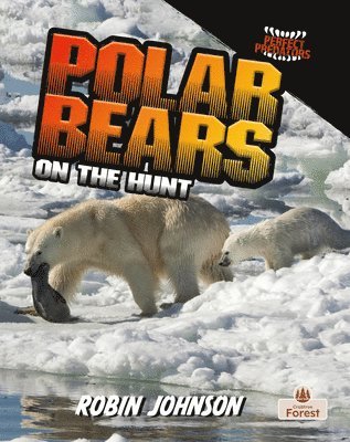 bokomslag Polar Bears on the Hunt