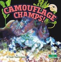 bokomslag Camouflage Champs!