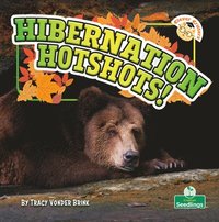 bokomslag Hibernation Hotshots!