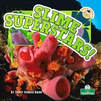bokomslag Slime Superstars!