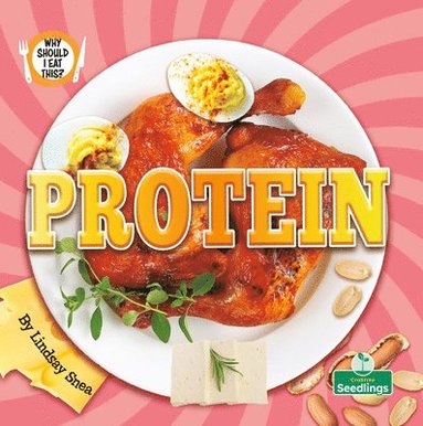 bokomslag Protein