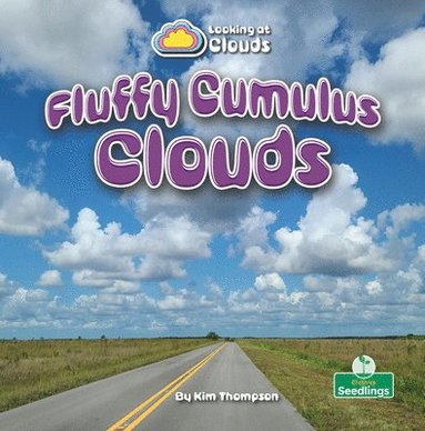 bokomslag Fluffy Cumulus Clouds