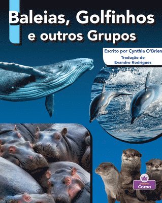 bokomslag Baleias, Golfinhos E Outros Grupos (Whale, Dolphin, and Other Pods)