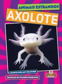 bokomslag Axolote (Axolotl)