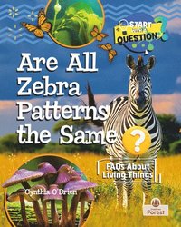 bokomslag Are All Zebra Patterns the Same?