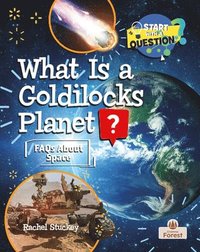 bokomslag What Is a Goldilocks Planet?