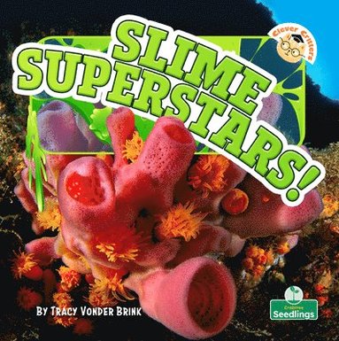 bokomslag Slime Superstars!