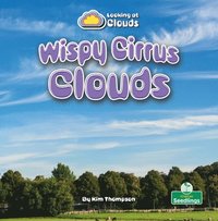 bokomslag Wispy Cirrus Clouds