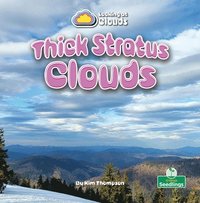 bokomslag Thick Stratus Clouds