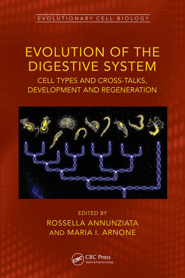 Rossella Annunziata, Maria I. Arnone - Evolution of the Digestive System, Inbunden