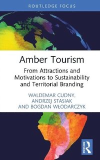 bokomslag Amber Tourism
