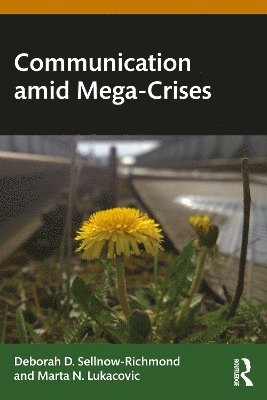 bokomslag Communication amid Mega-Crises
