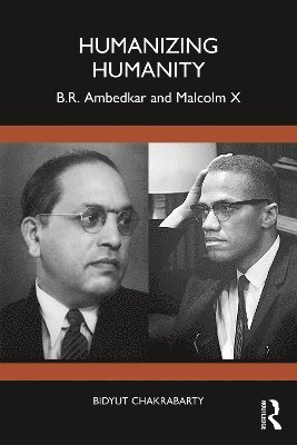 bokomslag Opposition and Challenges