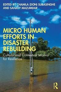 bokomslag Micro Human Efforts in Disaster Rebuilding
