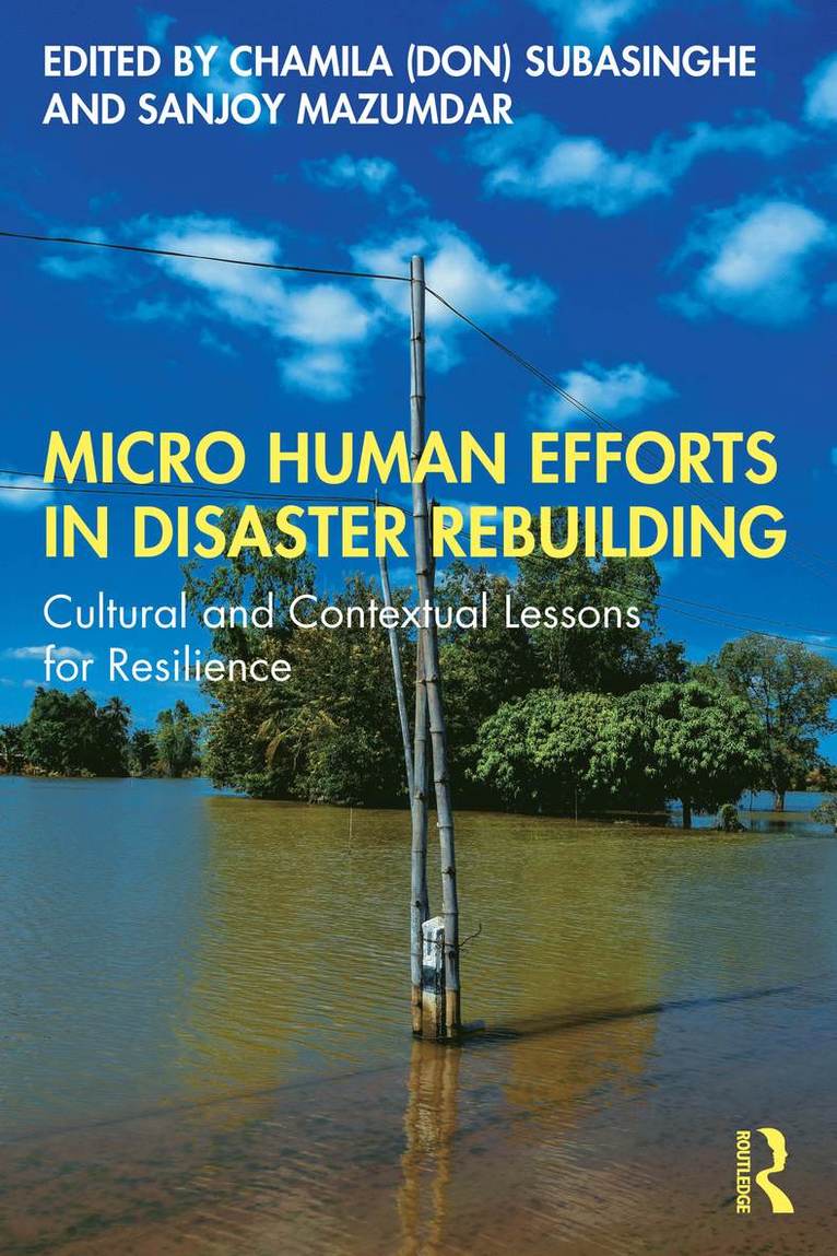 Micro Human Efforts in Disaster Rebuilding
