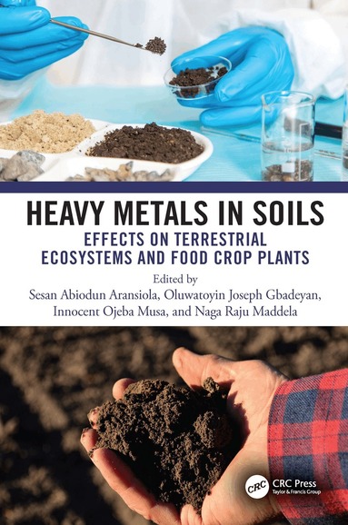 Sesan Abiodun Aransiola, Oluwatoyin Joseph Gbadeyan, Innocent Ojeba Musa, Naga Raju Maddela - Heavy Metals in Soils, Inbunden