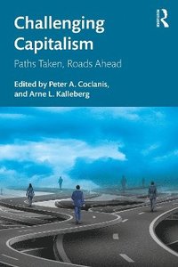 bokomslag Challenging Capitalism