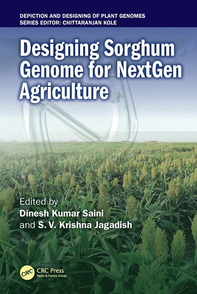 Dinesh Kumar Saini, S.V. Krishna Jagadish, TX) Saini, Dinesh Kumar (Dept. of Plant and Soil Science, Texas Tech Univ., Lubbock, TX) Jagadish, S.V. Krishna (Dept. of Plant and Soil Science, Texas Tech Univ., Lubbock, S. V. Krishna Jagadish - Designing Sorghum Genome for NextGen Agriculture, Inbunden